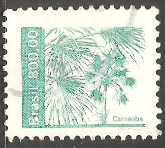 Carnaúba