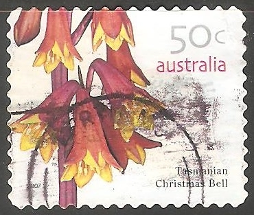 Tasmanian Christmas Bell