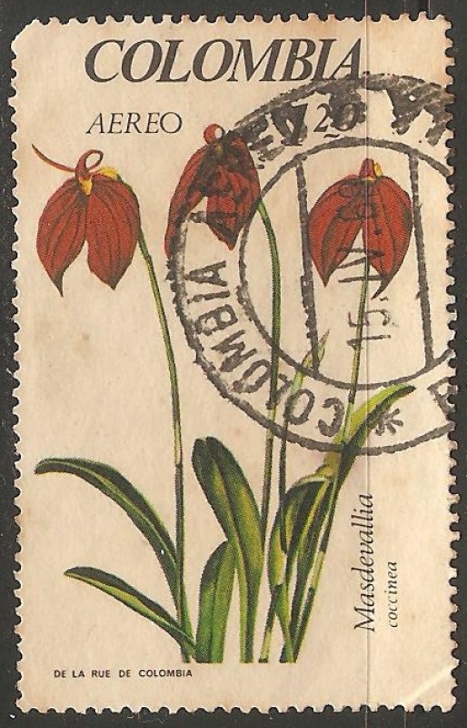 Orquidea colombiana