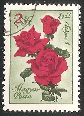 Rosas