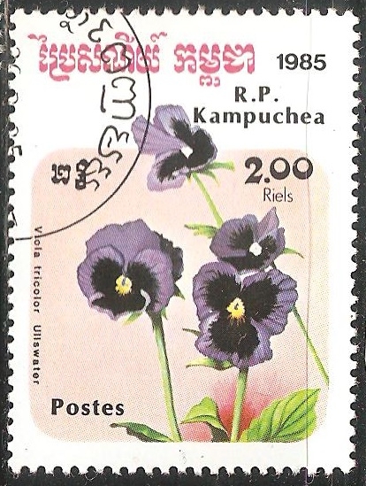 Viola Tricolor Ullswater (Viola tricolor)  
