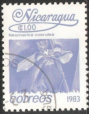 neomarica caerulea