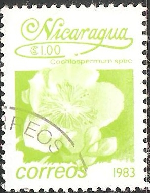 Neomarica (iris, iris de apóstol o apóstol planta caminar - nombres también utilizados para el géner