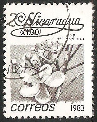 Sobralia macrantha Orquidea