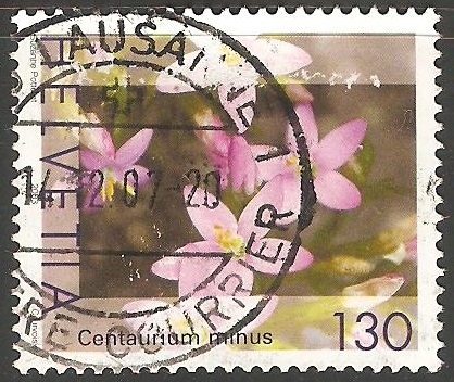 Centaurium