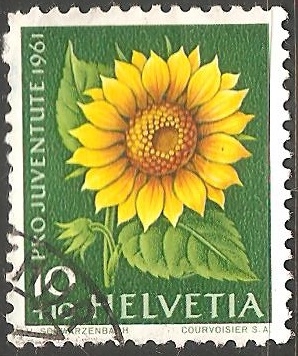 Pro Juventute Sunflower-Girasol