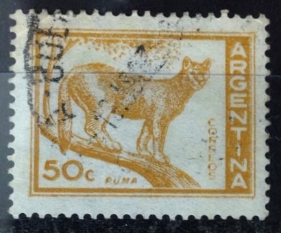 Puma