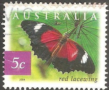 Lacewing rojo