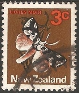 Linchen moth