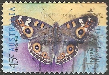 Argus Meadow