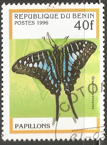 Papillon Graphium policenes