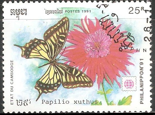 papilio xuthus