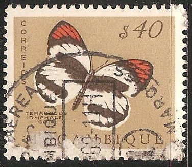 Mariposa