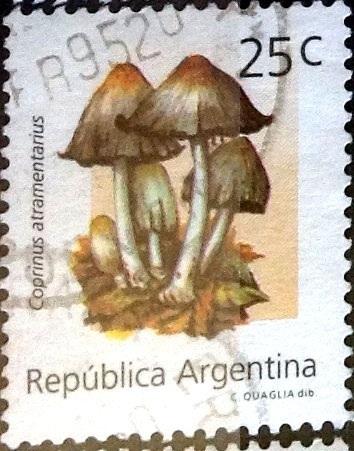 Intercambio daxc 0,35 usd 25 cent. 1992