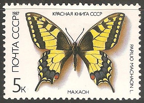 papilio machaon