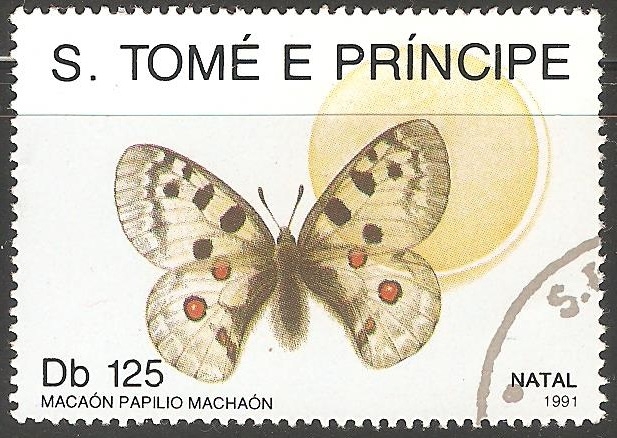 Papilio machaon- Navidad 1991