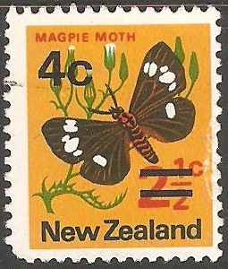 magpie moth