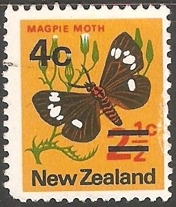 magpie moth