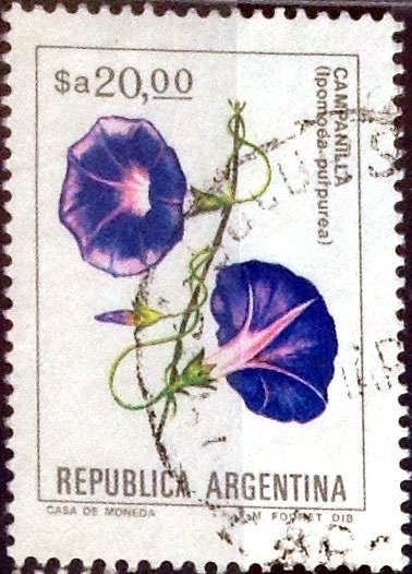 Intercambio 0,20 usd 20 australes 1983