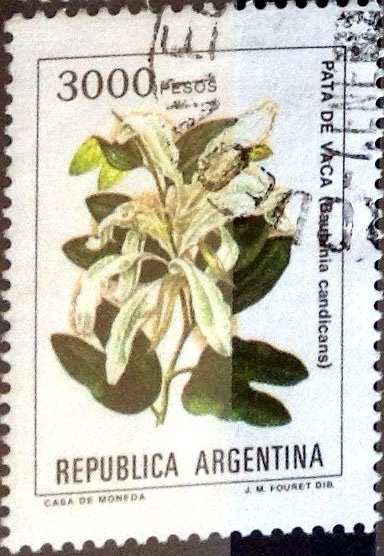 Intercambio 0,20 usd 3000 pesos 1982