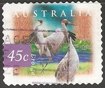 brolga