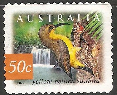 yellow bellied sunbird