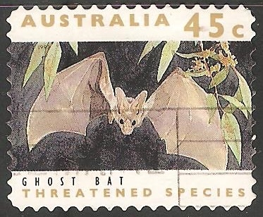 Ghost bat-murciélago fantasma