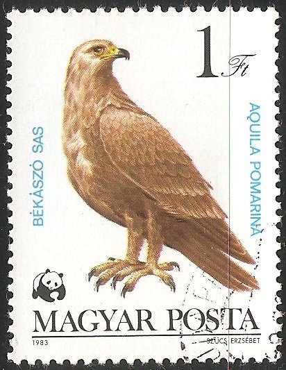 Aquila pomarina-águila pomerana