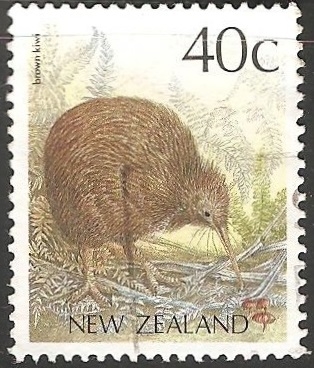 Brown kiwi-Kiwi marron