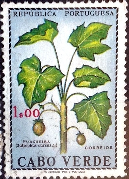 Intercambio nfxb 0,25 usd 1,00 escudos 1968