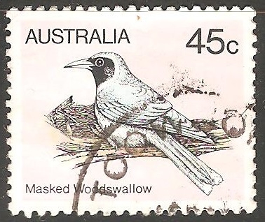 Masked wodswallow-Woodswallow enmascarado 