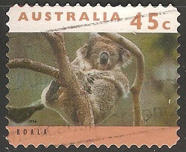 Koala