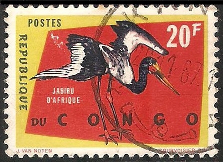 Jabiru d'afrique-cigüeña blanca