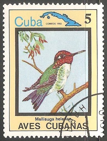 Aves de cuba-mellisuga helenae-colibríes