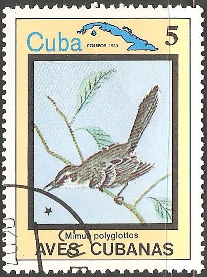 Aves cubanas-mimus polyglottos