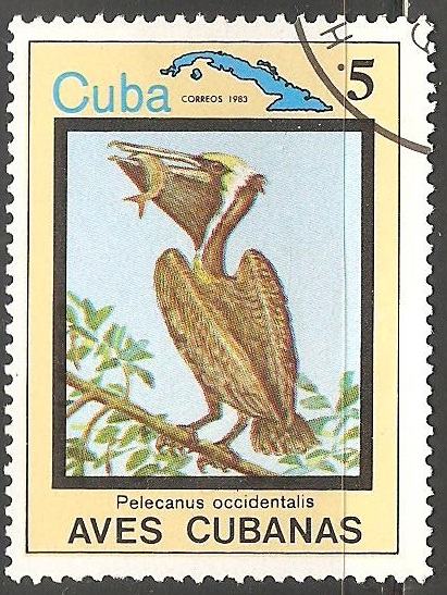Aves cubanas-