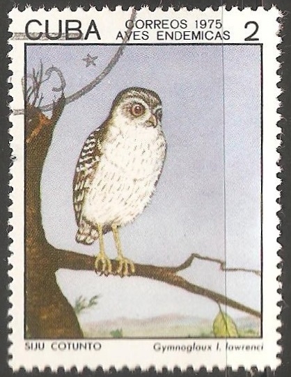 Aves endemicas-siju cotunto