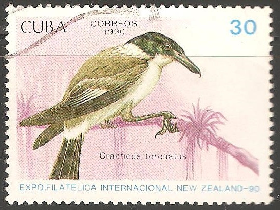 Expo. Filatelica Internacional New Zealand-90-cracticus torquatus