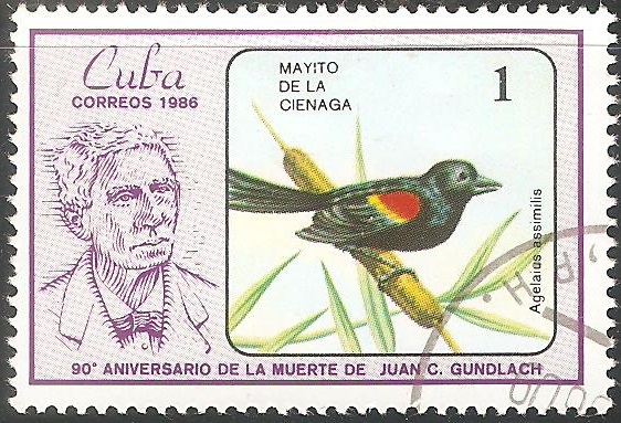 90 aniversario muerte Juan C.Gundlach-Mayito de la cinaga