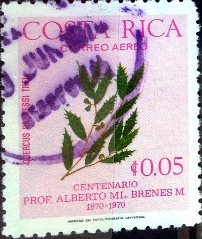 Intercambio 0,20 usd 5 cent. 1976