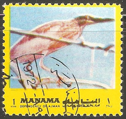 Aves de Manama (Ajman)