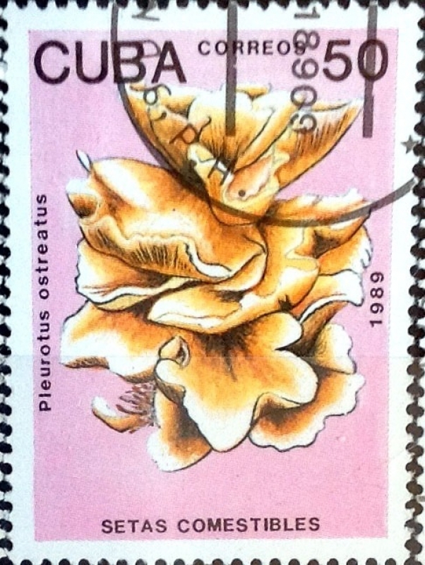 Intercambio 0,50 usd 50 cent. 1989