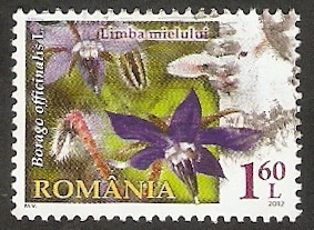 Flor de Rumania, y un cordero