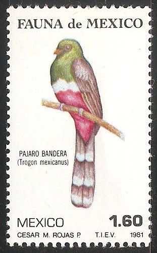 Pajaro bandera