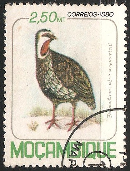 Red-necked Spurfowl 
