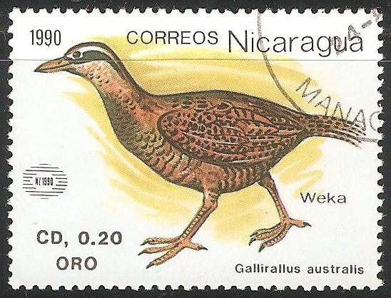 Gallirallus australis