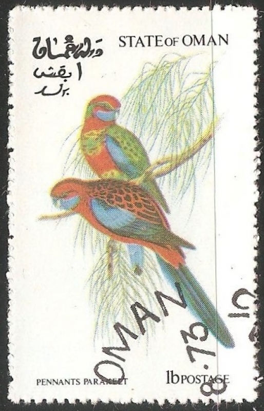Pennants parakeet