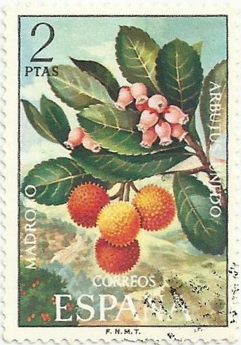 FLORA HISPÁNICA, Ier GRUPO. MADROÑO. Arbutus unedo. EDIFIL 2086