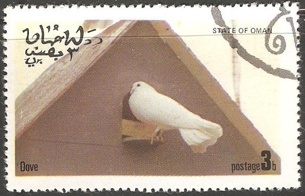 Dove-paloma
