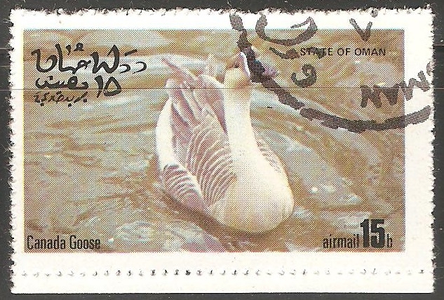 Canada Goose-ganso del Canadá